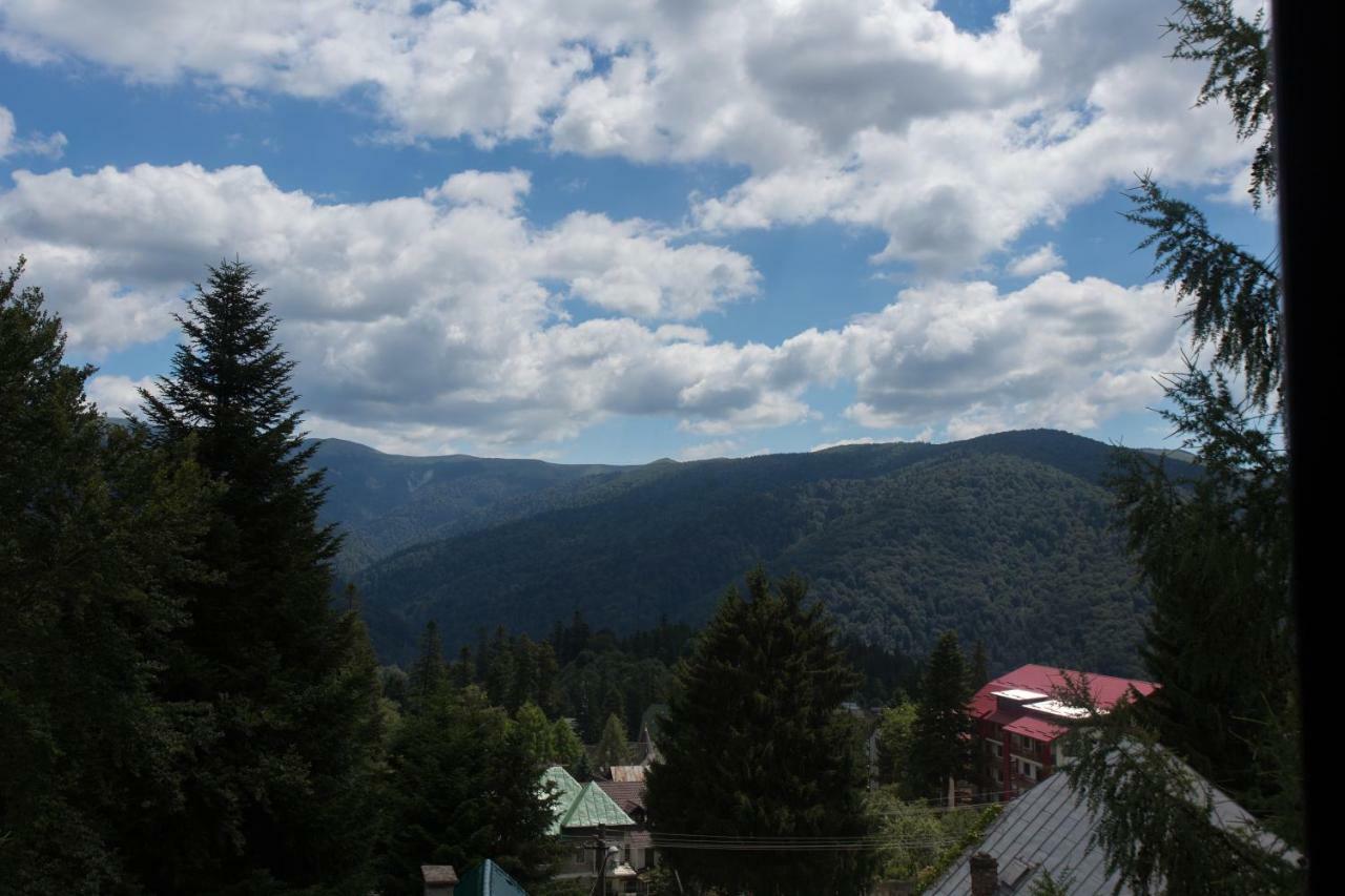 Pensiunea Carmen'S Mansion B Sinaia Zewnętrze zdjęcie