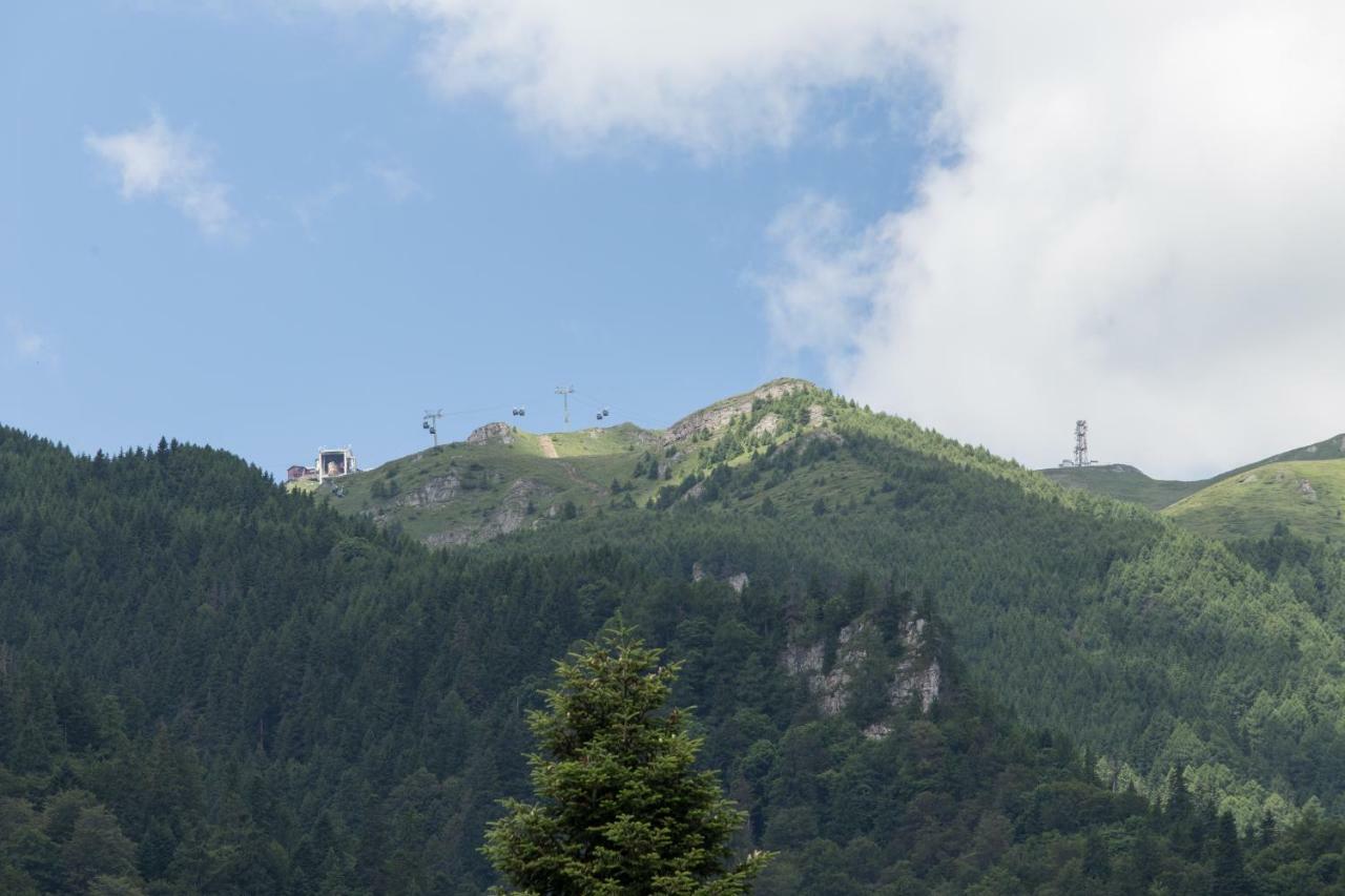 Pensiunea Carmen'S Mansion B Sinaia Zewnętrze zdjęcie